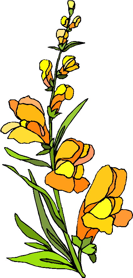 Flowers clip art