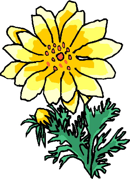 Flowers clip art