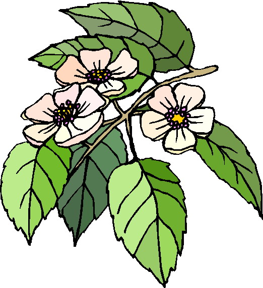 Flowers clip art