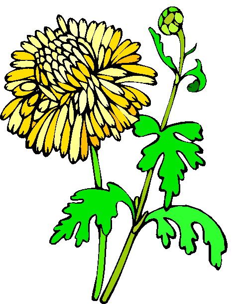 Flowers clip art