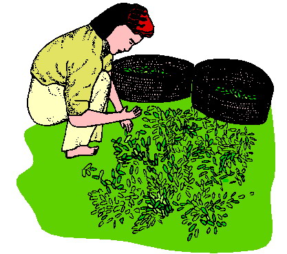 Gardens clip art