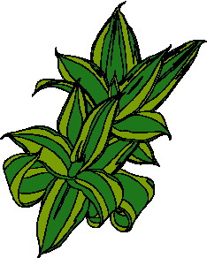 Leaves clip art