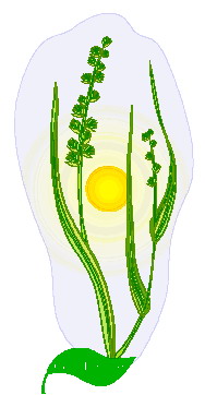 Leaves clip art