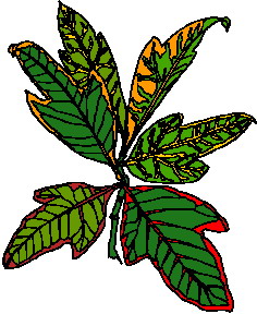 Leaves clip art