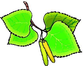 Leaves clip art