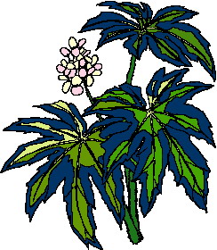 Leaves clip art