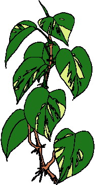 Leaves clip art