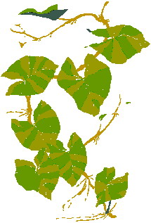 Leaves clip art