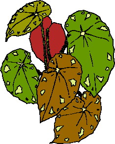 Leaves clip art