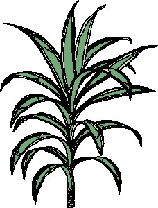 Leaves clip art