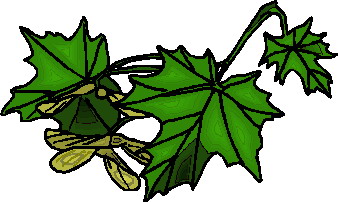 Leaves clip art