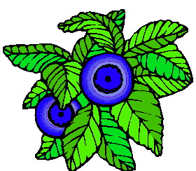 Leaves clip art