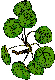 Leaves clip art