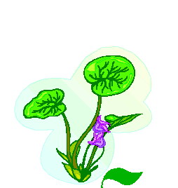 Leaves clip art