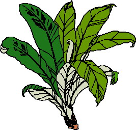 Leaves clip art