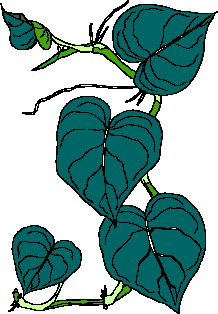 Leaves clip art