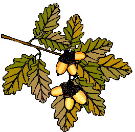 Leaves clip art