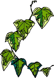 Leaves clip art