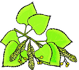 Leaves clip art