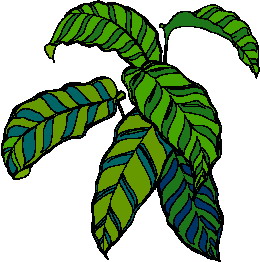 Leaves clip art