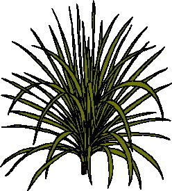 Leaves clip art