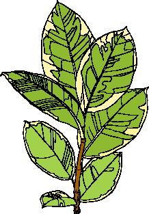 Leaves clip art