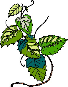 Leaves clip art