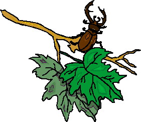 Leaves clip art