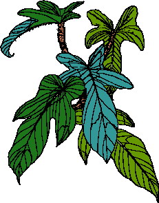 Leaves clip art