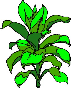 Leaves clip art