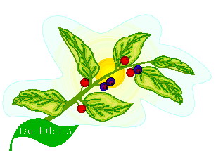 Leaves clip art