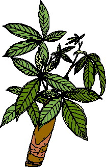 Leaves clip art