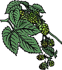 Leaves clip art