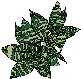 Leaves clip art