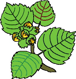 Leaves clip art
