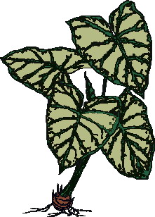 Leaves clip art