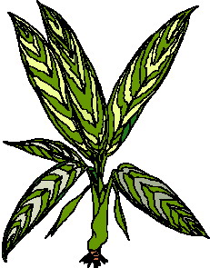 Leaves clip art