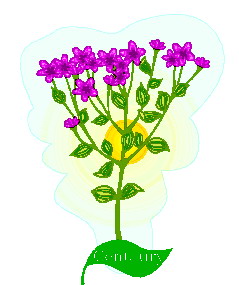 Leaves clip art