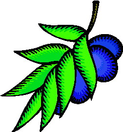 Leaves clip art
