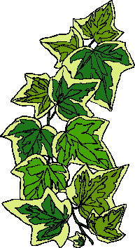 Leaves clip art