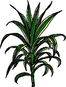 Leaves clip art