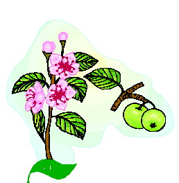 Leaves clip art