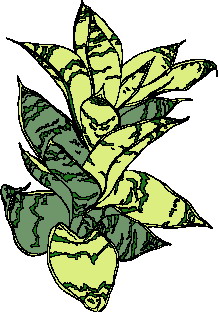 Leaves clip art