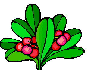 Leaves clip art