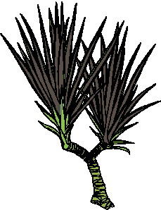 Leaves clip art