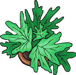 Leaves clip art