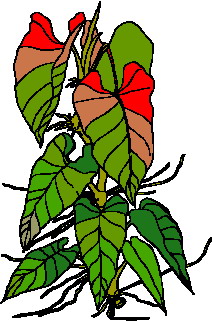 Leaves clip art