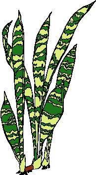 Leaves clip art