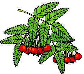 Leaves clip art
