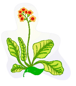 Leaves clip art